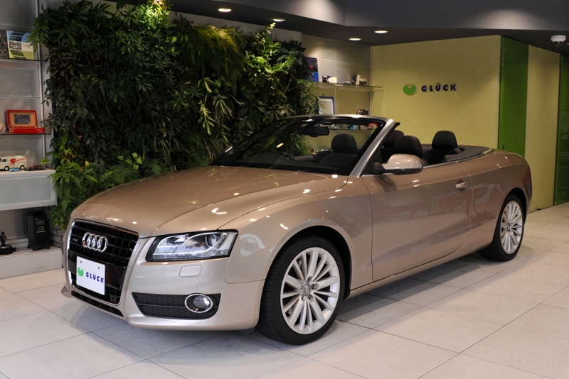 【中古】希少 Audi A5 カブリオレ ウインドディフレクター 専用ケース付 中古】希少 Audi A5 カブリオレ ウインドディフレクター 専用