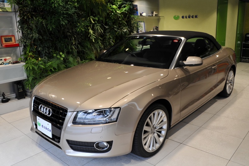 【中古】希少 Audi A5 カブリオレ ウインドディフレクター 専用ケース付 中古】希少 Audi A5 カブリオレ ウインドディフレクター 専用