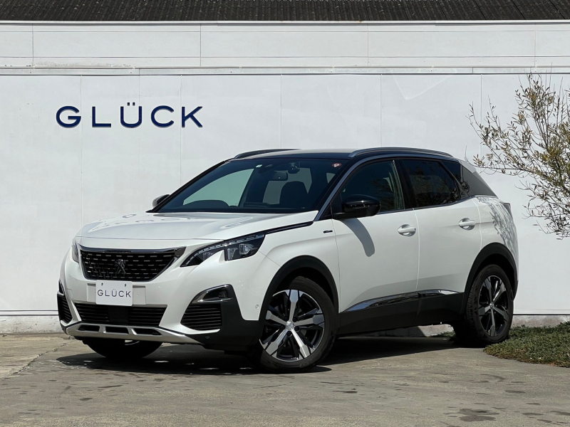 ぬこ 3連休はたくさんのご来場ありがとうございました！ 新しいPEUGEOT